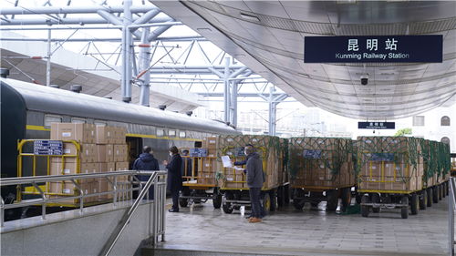 滇黔攜手共援上海，防疫物資千里馳援