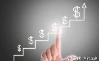 審計(jì)透視 汽車制造業(yè)公司IPO及年報(bào)審計(jì)實(shí)踐——以甲公司為例